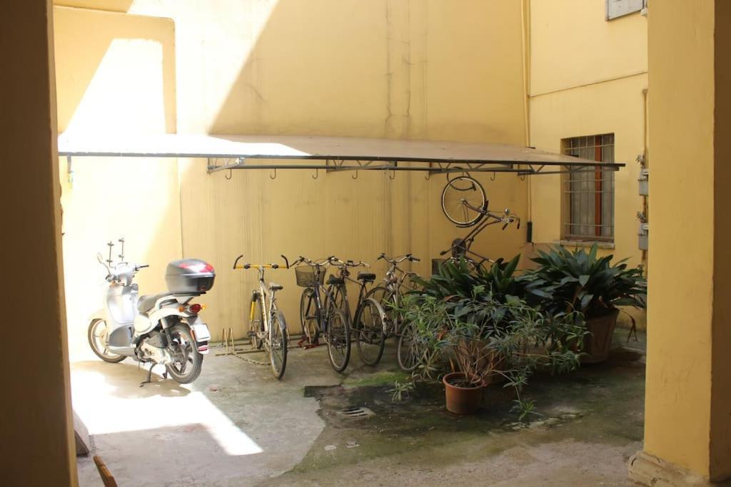 Lovely Flat, Ground Floor Centre Of Bologna! :) 외부 사진